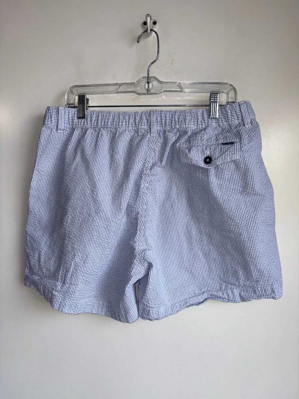 CHUBBIES 5.5